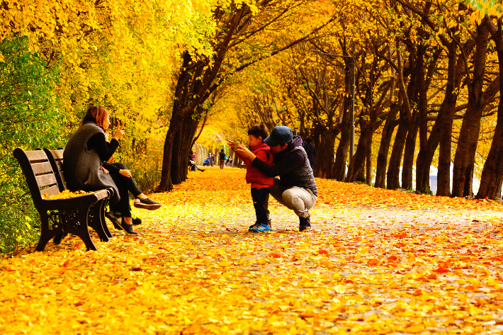 안양천 제방길. 서울시 제공