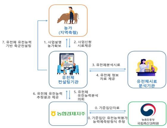 한우 암소 유전체 유전능력 예측 서비스 체계도. 농촌진흥청 제공
