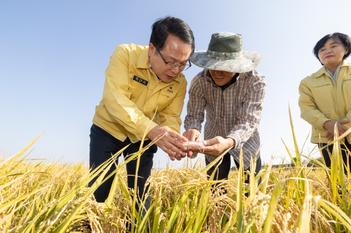 정헌율 익산시장이 29일 벼 수발아 피해현장을 살펴보고 있다. 익산시 제공