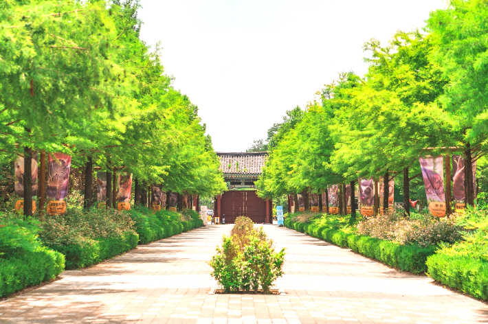 전주동물원 전경. 전주시 제공