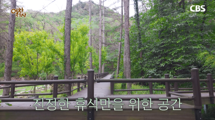 고대산 자연휴양림 무장애산책길. 유튜브 <CBS경제연구실> 캡처