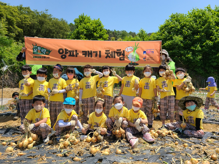 농촌체험 활성화 '남도체험투어' 양파 캐기 체험. 전라남도 제공