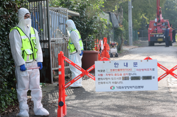 조류인플루엔자(AI) 발생 농가 방역 장면. 연합뉴스