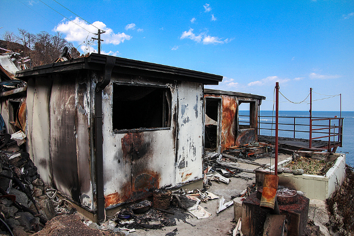 경북 초대형 산불로 잿더미로 변한 영덕 석리마을. 박정일 작가 제공