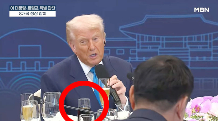 도널드 트럼프 전 미국 대통령이 2025년 10월 30일 경주 힐튼호텔에서 열린 한·미 정상 만찬에서 샴페인 잔에 다이어트 콜라를 담아둔 채 발언하고 있다. MBN 유튜브 캡처