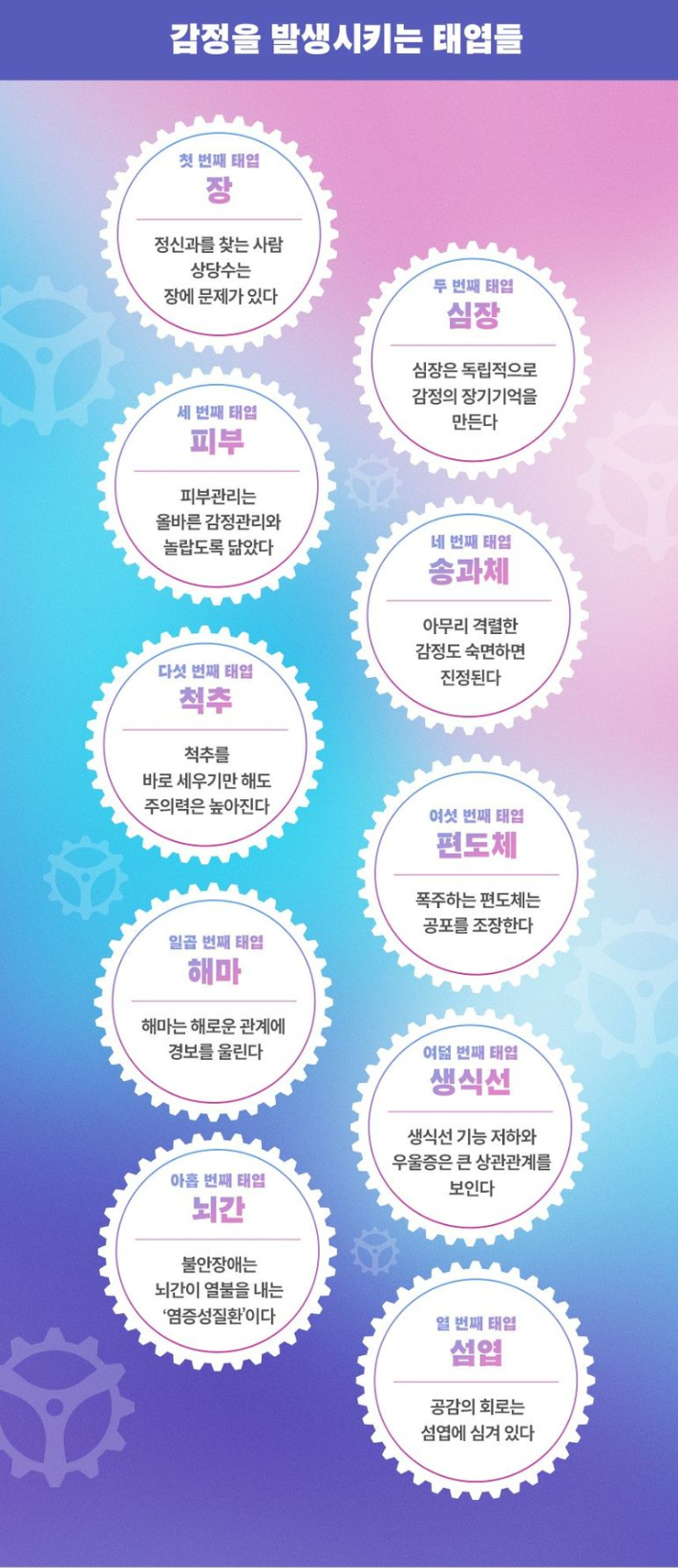 이 책은 감정의 발생점인 장, 심장, 피부, 척추, 송과체, 편도, 해마, 생식선, 뇌간, 섬엽 등 10개의 신체 기관을 '감정시계의 태엽'이라고 부르며 감정과 생체리듬의 관계를 풀어낸다. 쌤앤파커스 제공