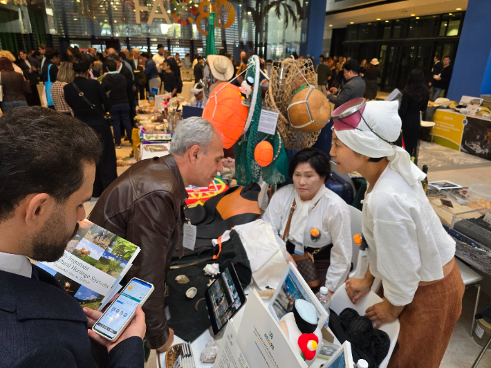 지난달 29일부터 이달 2일까지 이탈리아 로마 유엔식량농업기구 본부에서 열린 세계중요농업유산 인증서 수여식. 제주도 제공