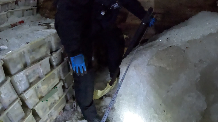 해경이 적발한 중국어선 비밀 어창 내부. 제주해경서 제공