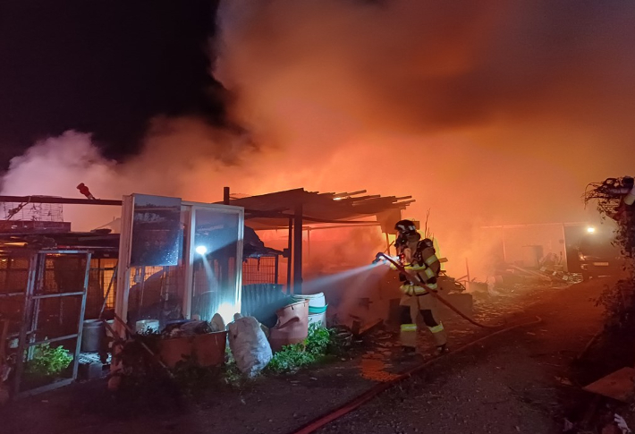 포항 개 사육장 화재…개 6마리 불에 타 죽어