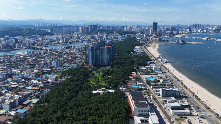 포항 송도솔밭도시숲, 산림청 '대한민국 모범도시숲' 최종 선정