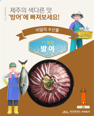 서귀포시 11월 수산물은?…겨울철 대표 보양식 '방어'