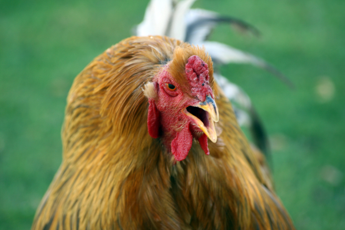 기사 내용과 관련없는 사진. 스마트이미지 제공