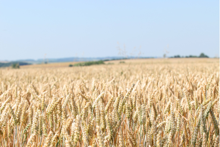 스마트이미지 제공