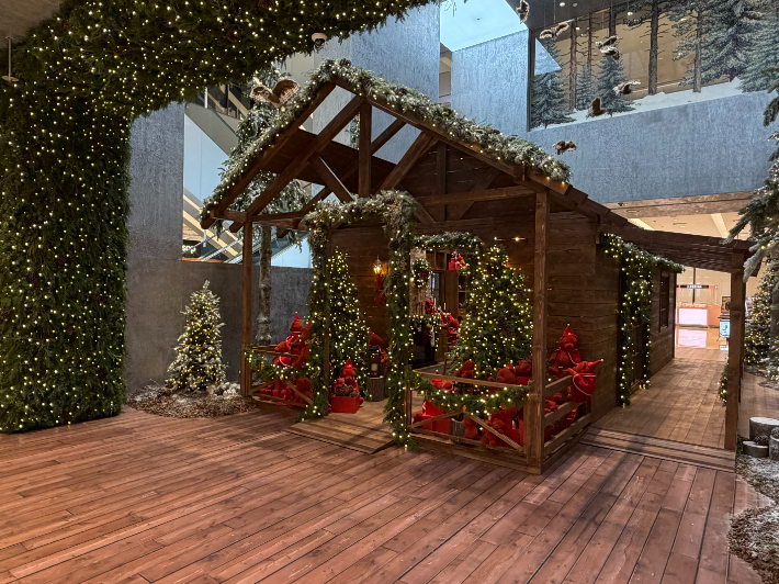 더현대 대구 제공