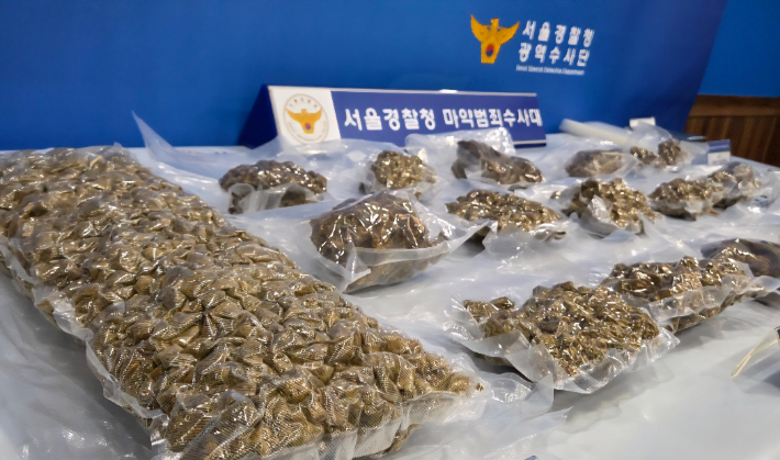 밀수된 압축 포장 대마. 서울경찰청 제공