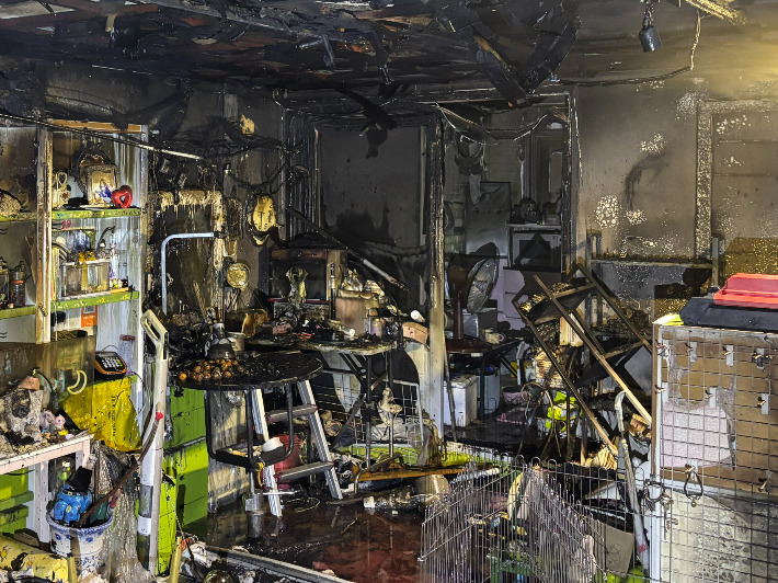 4일 부산 동구의 한 애견샵에서 불이 나 건물 내부가 검게 그을린 모습. 부산소방재난본부 제공 