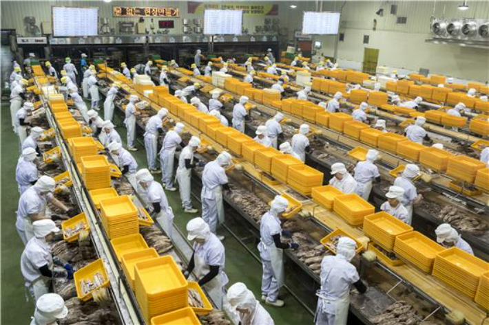 국립수산과학원은 동원 F&B 생산 공장을 대상으로 참치통조림 표준 공정을 확립했다. 수과원 제공
