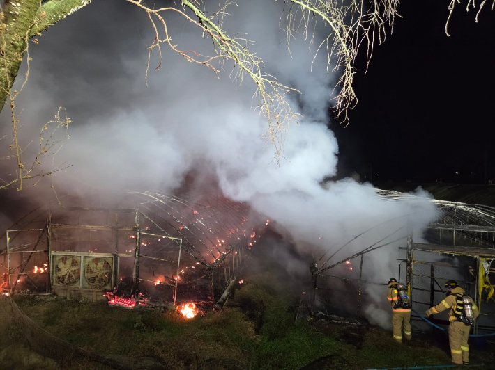 소정면 양계장 화재. 세종소방본부 제공