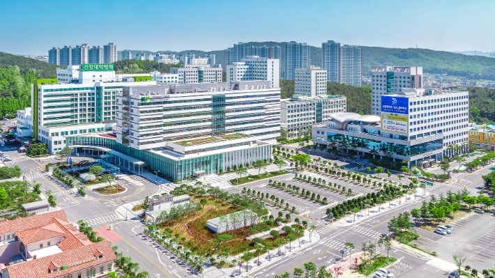 건양대학교의료원 전경. 건양대병원 제공