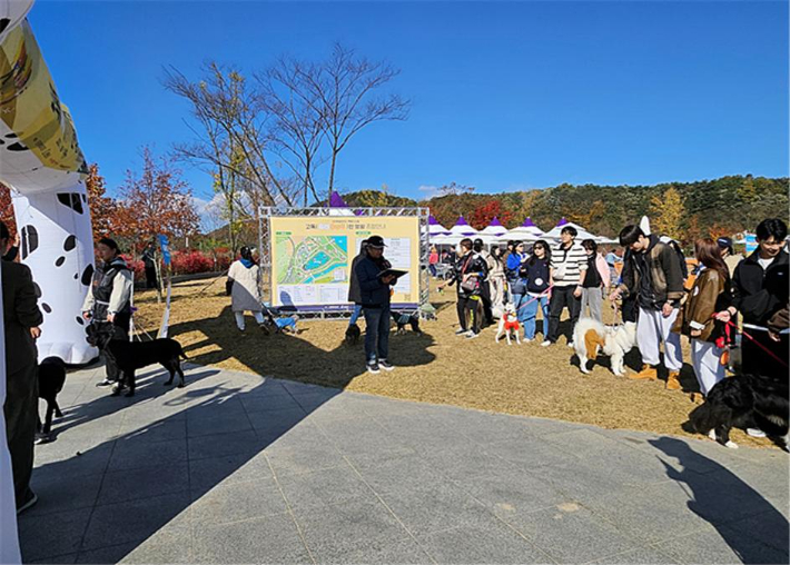 지난 1~2일 강원 영월군 남면 연당원 일원에서 열린 반려문화 축제 '고독(GODOG)한 영월' 행사 장면. 강원도 제공 
