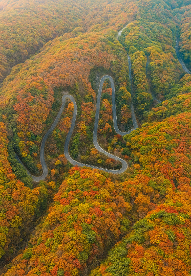 영천 보현산 천수누림길. 경북문화관광공사 제공