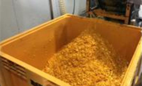 가공 후 남은 감귤 부산물. 농촌진흥청 제공