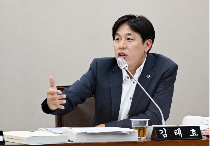 김태효 의원. 부산시의회 제공