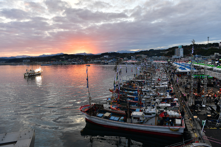 지난해 열린 죽변항 수산물축제. 울진군 제공
