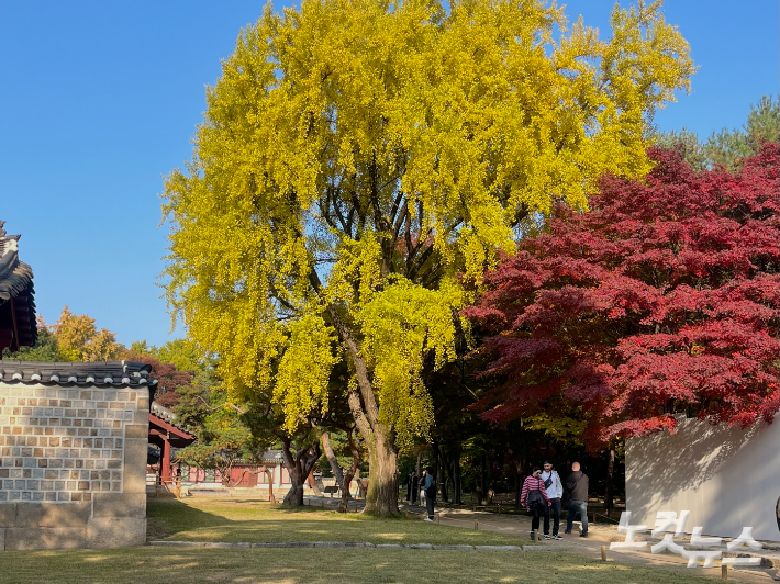 가을 단풍이 물든 종묘 전경. 권유빈 인턴기자
