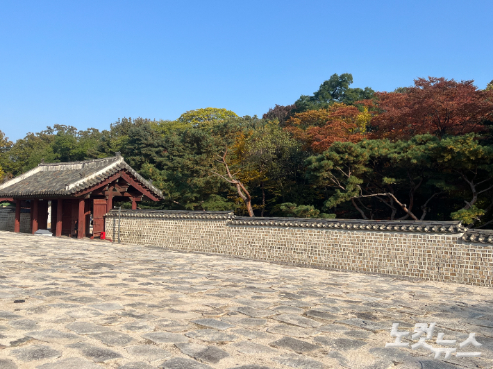 가을 산세와 조화를 이룬 종묘 전경. 권유빈 인턴기자