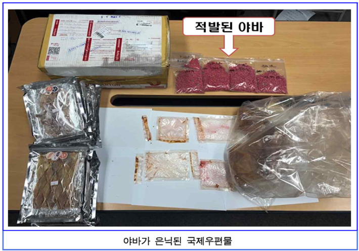 대구지방검찰청 제공