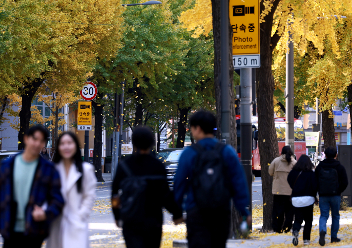 은행나무에서 낙엽이 떨어지며 바람에 날리고 있다. 연합뉴스