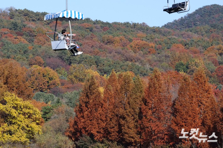 단풍이 절정을 향해 가고 있는 10일 오후 경기도 과천 서울대공원에 단풍이 물들어 있다.