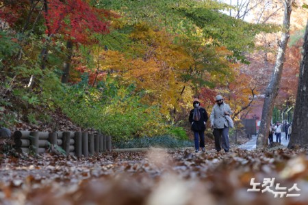 단풍이 절정을 향해 가고 있는 10일 오후 경기도 과천 서울대공원에 단풍이 물들어 있다.