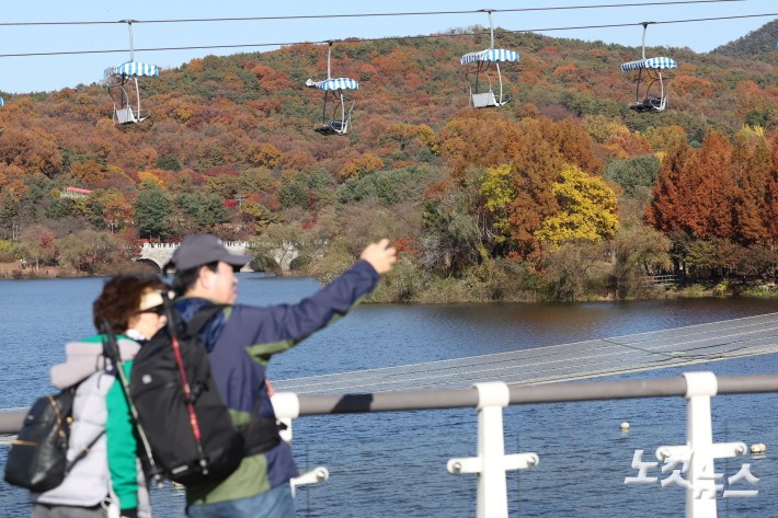 단풍이 절정을 향해 가고 있는 10일 오후 경기도 과천 서울대공원에 단풍이 물들어 있다.