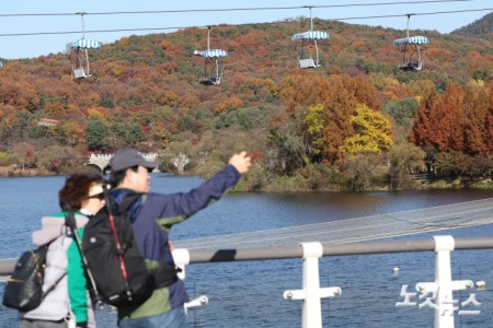 단풍이 절정을 향해 가고 있는 10일 오후 경기도 과천 서울대공원에 단풍이 물들어 있다.