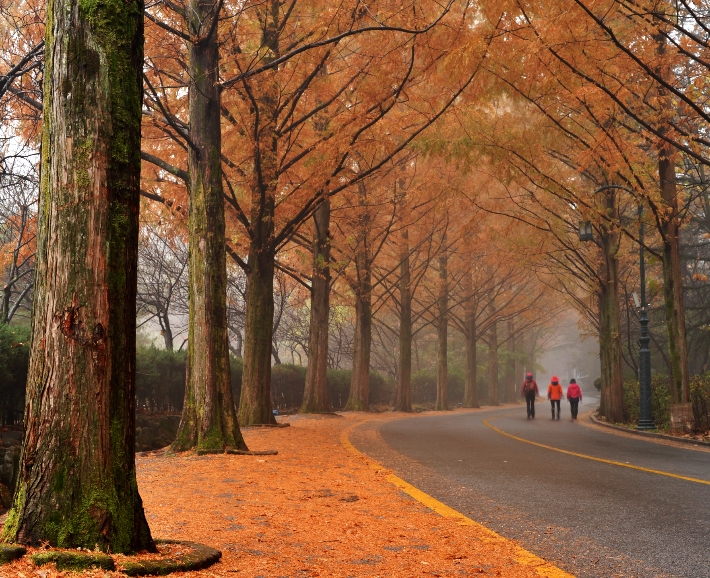 금오산 등산로. 경북문화관광공사 제공