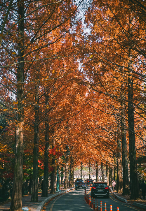 금오산 등산로. 경북문화관광공사 제공
