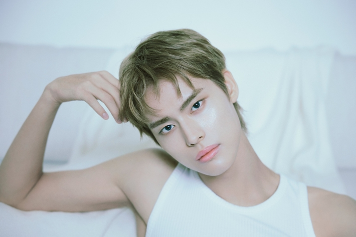 뉴비트 전여여정. 비트인터렉티브 제공