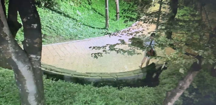 마약류를 야산에 은닉하는 장면. 강원경찰청 제공