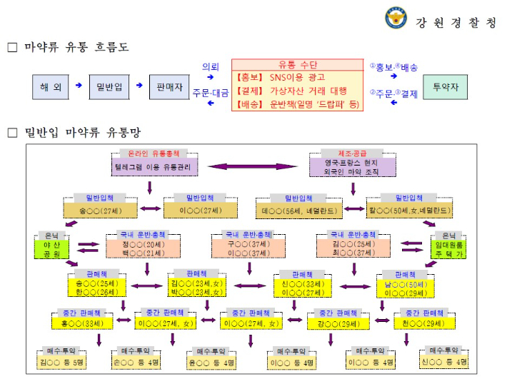 마약류 밀반입 유통 조직 구성도. 강원경찰청 제공