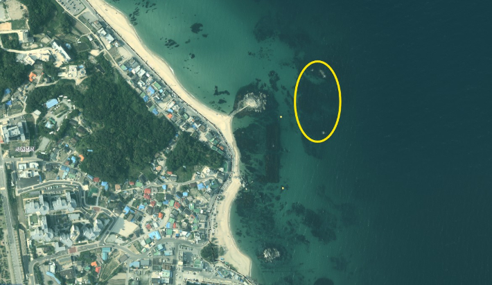 갯녹음 암반 해조서식환경 복원사업 추진 위치도(사천연안). 강릉시 제공