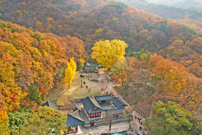 경주 운곡서원. 경주시 제공