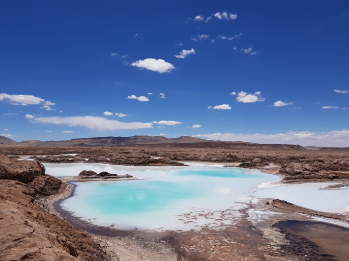 아르헨티나 옴브레 무에르토 리튬 염호. 포스코홀딩스