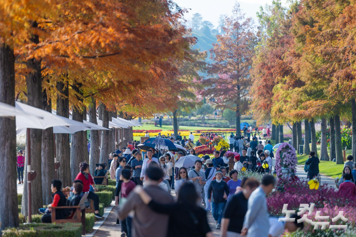 순천만국가정원. 고영호 기자