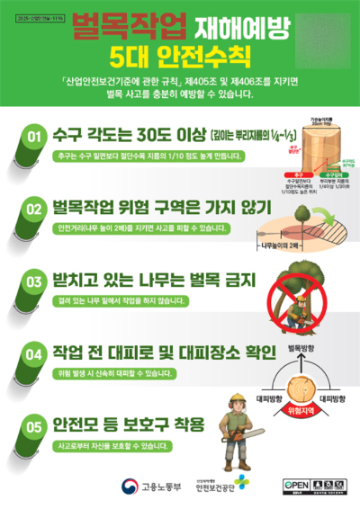 고용노동부는 벌목작업 재해예방 5대 안전수칙을 마련했다고 13일 밝혔다. 고용노동부 제공