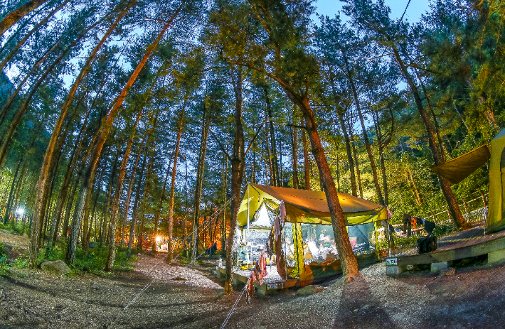 무릉 힐링캠핑장. 동해시 제공