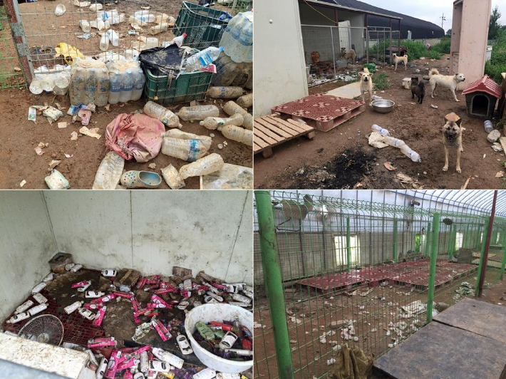 수학이가 구조된 방치된 보호소의 모습. 카라 제공