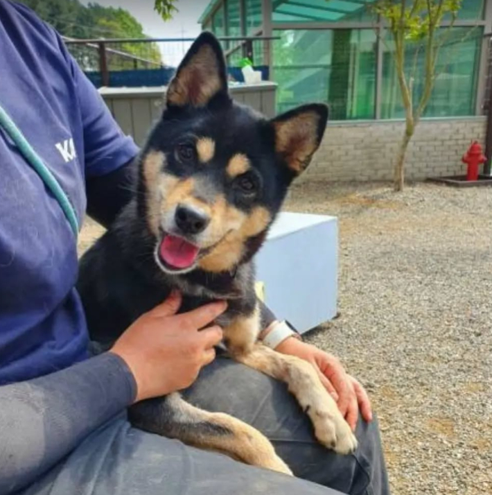 담당 활동가와 다정한 시간을 보내는 수학이. 카라 제공