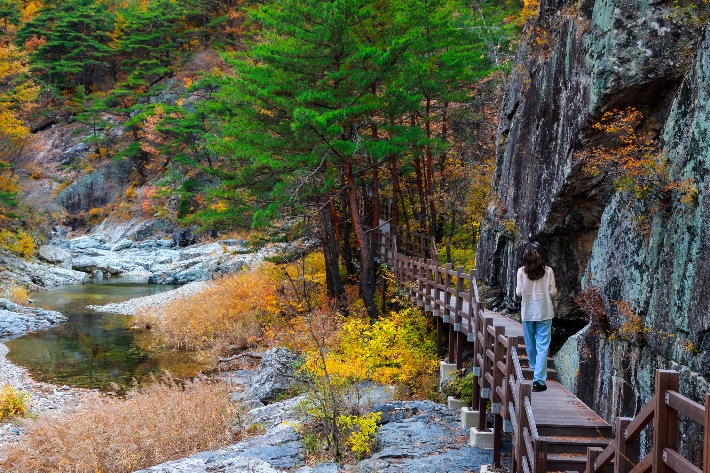 신선계곡. 울진군 제공